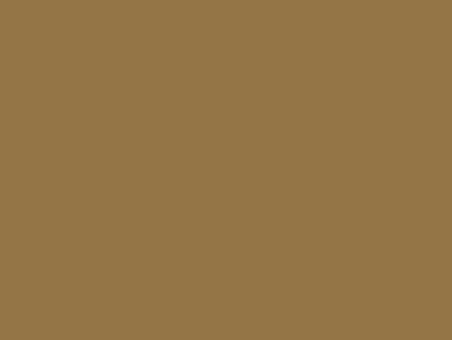 buckskin-brown-022.png